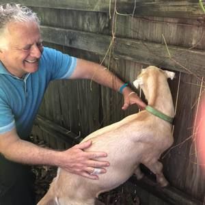 Meet your Posher, Howard